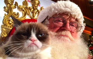 Котешката супергрупа представя: Hard To Be a Cat at Christmas (Видео)