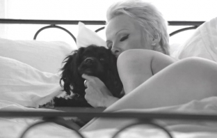 Памела Андерсън свали всичко за екстремно еротично видео на PETA