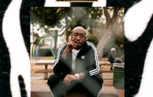 Freddie Gibbs / Madlib - Pinata