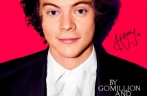 Хари Стайлс от One Direction e герой в нова еротична книга