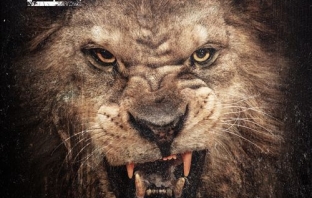 50 Cent - Animal Ambition: An Untamed Desire to Win