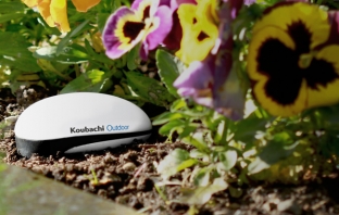Koubachi Plant Sensor – фитнес инструктор за вашите растения