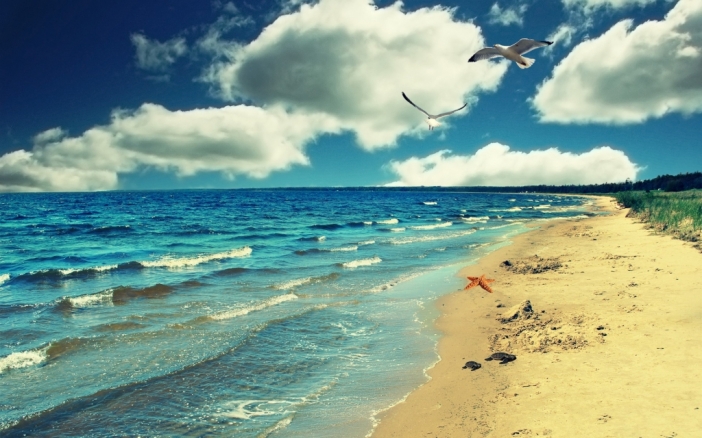 С лято в сърцето: 8 причини да обожаваме морето