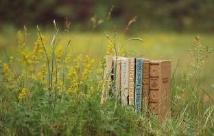 3 страхотни книжни поредици, с които да разнообразим лятото си