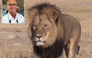 Ловецът, убил лъвa Сесил, проговори в първо интервю  след инцидента