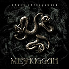 Meshuggah - Catch 33