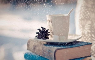 5 изкушаващи зимни четива