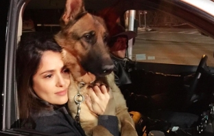Убиха кучето на Салма Хайек, актрисата е в траур