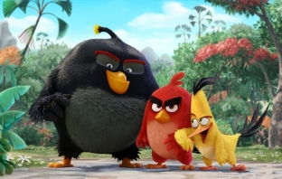Слави, Годжи, Краси Радков и Иво Сиромахов дават гласoвете си на Angry Birds