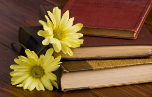 Вместо цвете! 3 книги, с които да направите ефектен подарък за 8-ми март