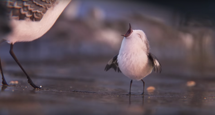 Гледайте безплатно сърцераздирателната анимация на Pixar – Piper (Видео)