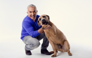 Вижте как може да се срещнете със Cesar Millan преди шоуто му в София