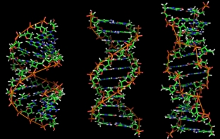 Биохакери успяха да запишат компютърен вирус в ДНК
