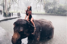 "Душата ми принадлежи на джунглата": Николета Лозанова с горещи снимки от Бали