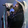 Steven Tyler: Steven Tyler: