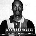 Snoop Dogg отърва затвора