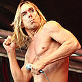 Iggy Pop озвучава политическа анимация