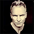 Oсъдиха Sting за сексуална дискриминация