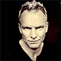 Определиха Sting като най-слабия текстописец