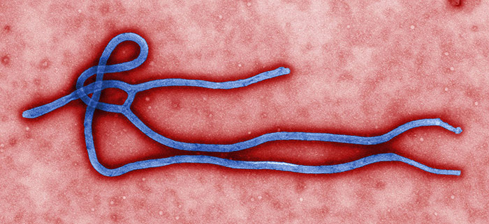 Ебола